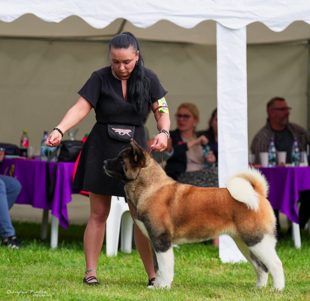 WhatsApp Image 2025-11-28 at 20.11.43 (1)