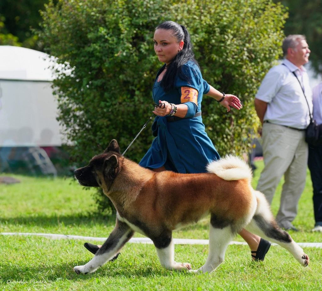 WhatsApp Image 2025-11-28 at 20.11.43