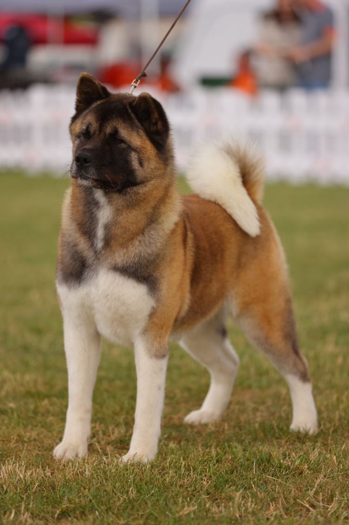 WhatsApp Image 2025-11-28 at 20.19.19 (1)