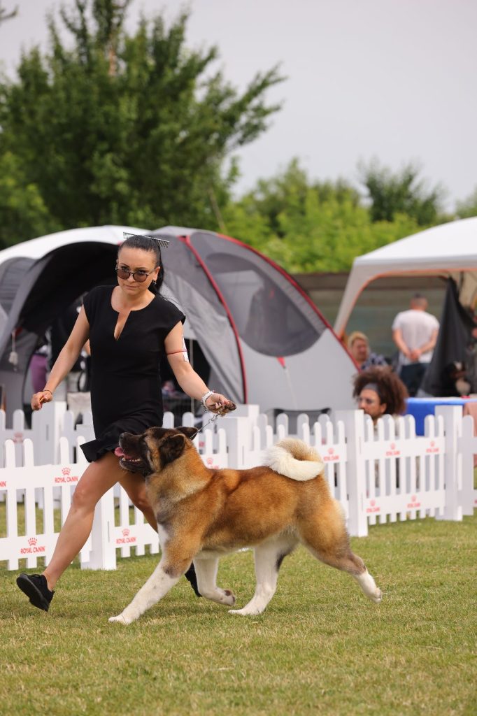 WhatsApp Image 2025-11-28 at 20.19.19 (2)