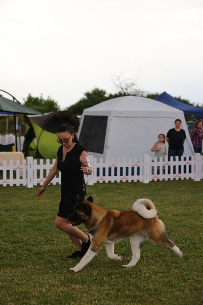 WhatsApp Image 2025-11-28 at 20.19.19 (3)