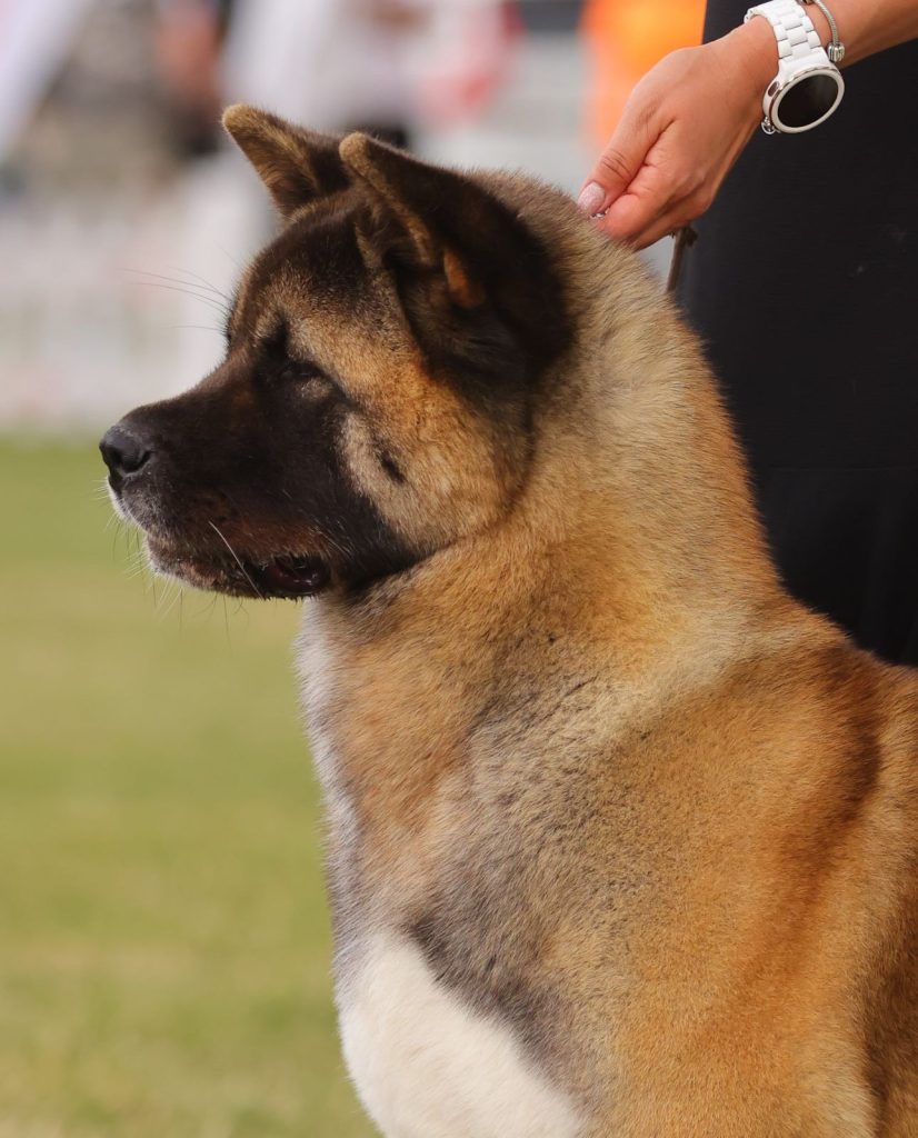 WhatsApp Image 2025-11-28 at 20.19.19 (4)