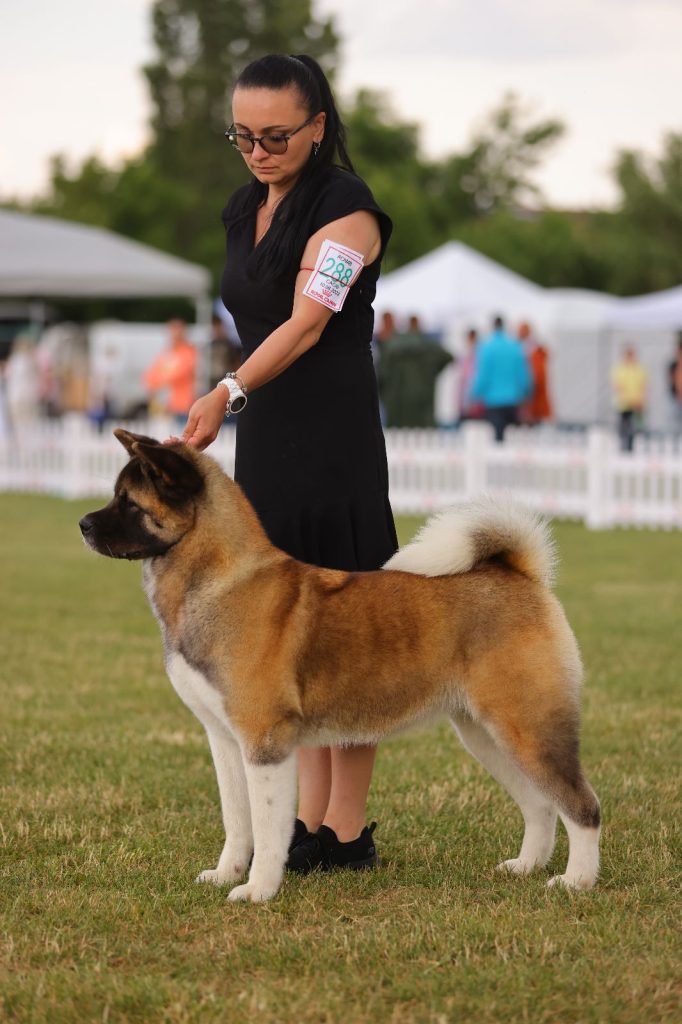 WhatsApp Image 2025-11-28 at 20.19.19