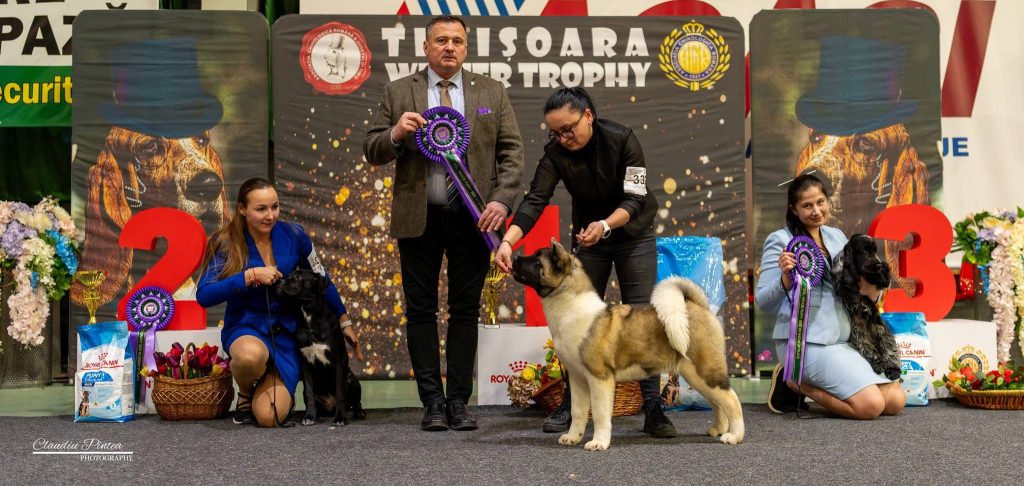 WhatsApp Image 2025-11-28 at 21.21.21 (1)