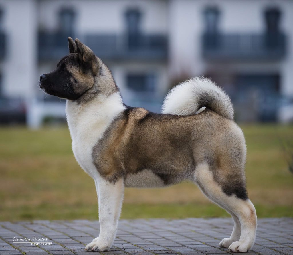 WhatsApp Image 2025-11-28 at 21.21.21