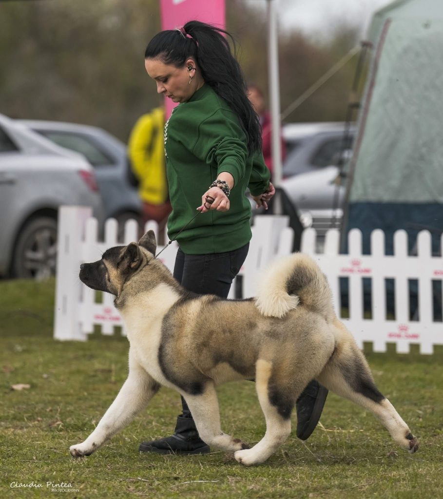 WhatsApp Image 2025-11-28 at 21.21.21 (3)