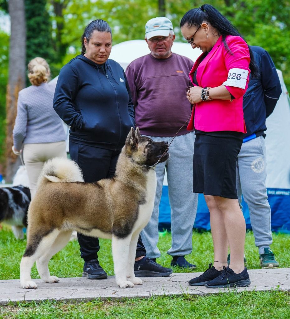 WhatsApp Image 2025-11-28 at 21.21.21 (4)