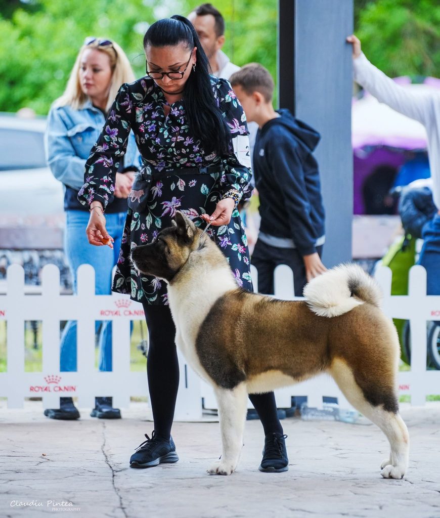 WhatsApp Image 2025-11-28 at 21.21.23 (1)