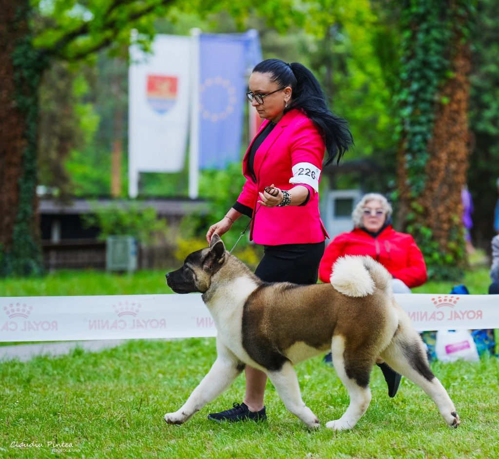 WhatsApp Image 2025-11-28 at 21.21.23