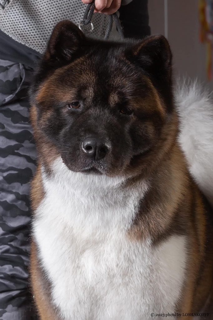 WhatsApp Image 2025-11-28 at 21.26.06 (1)