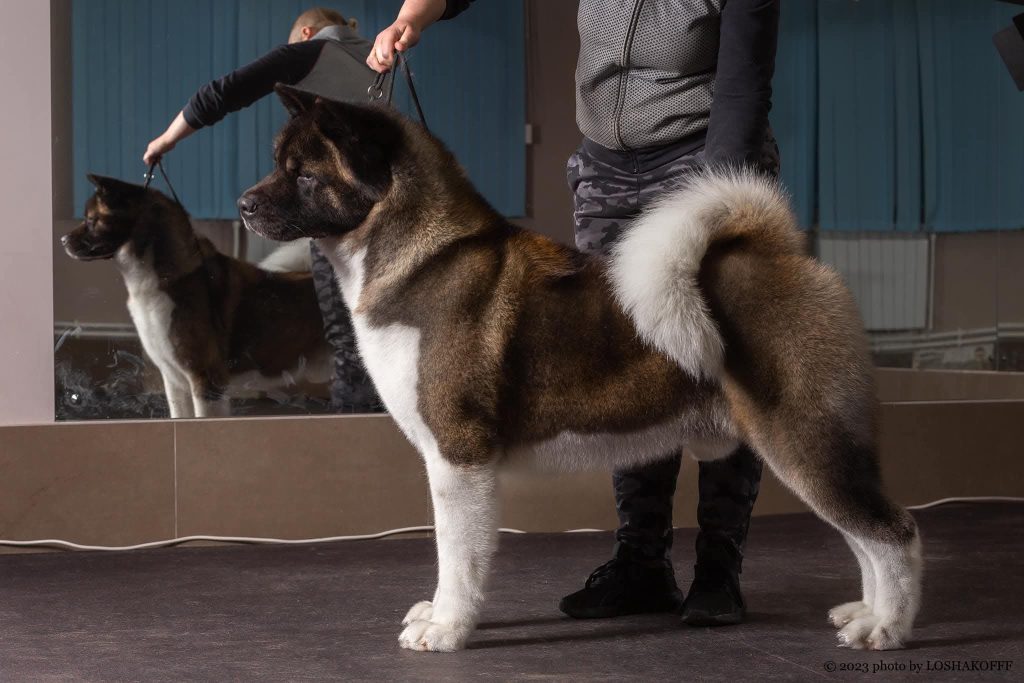 WhatsApp Image 2025-11-28 at 21.26.06