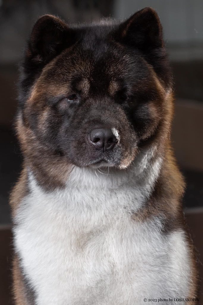 WhatsApp Image 2025-11-28 at 21.26.06 (2)