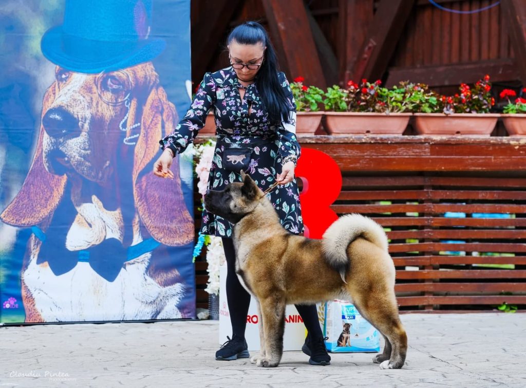 WhatsApp Image 2025-11-28 at 21.34.58 (1)