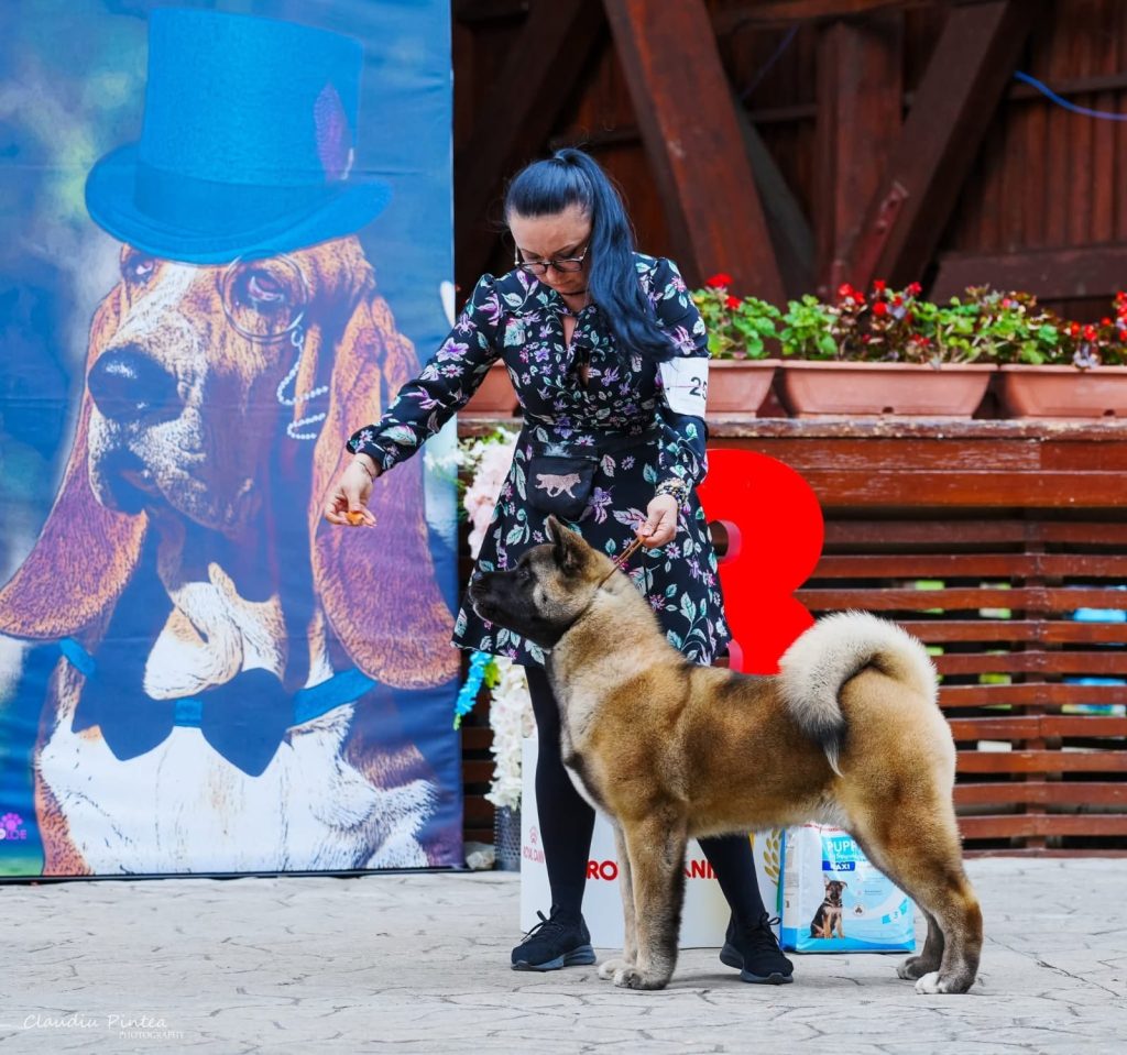 WhatsApp Image 2025-11-28 at 21.34.58