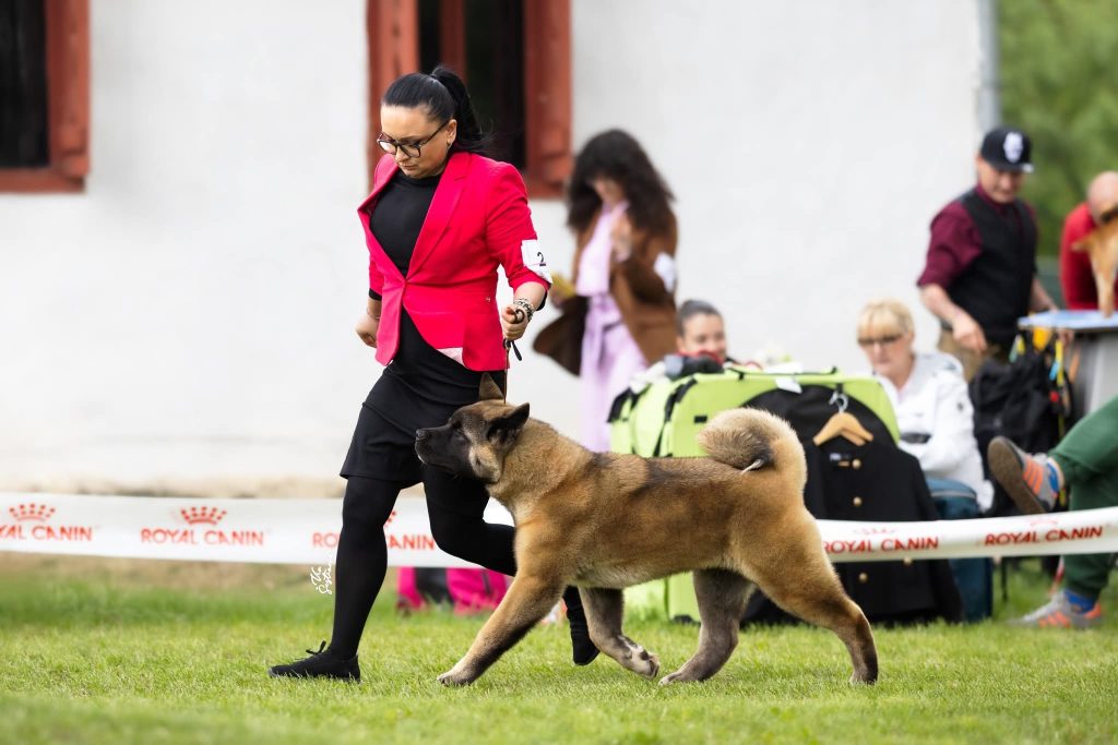 WhatsApp Image 2025-11-28 at 21.34.58 (2)