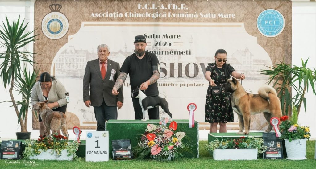 WhatsApp Image 2025-11-28 at 21.34.58 (3)