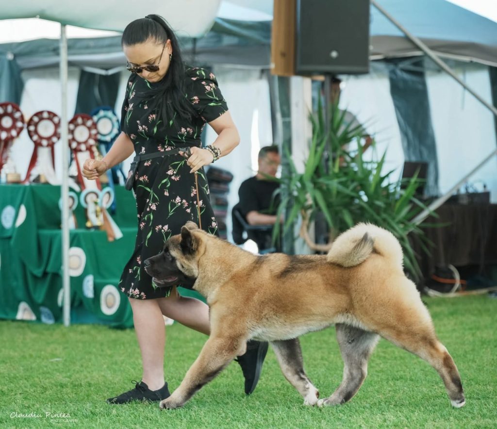 WhatsApp Image 2025-11-28 at 21.34.59