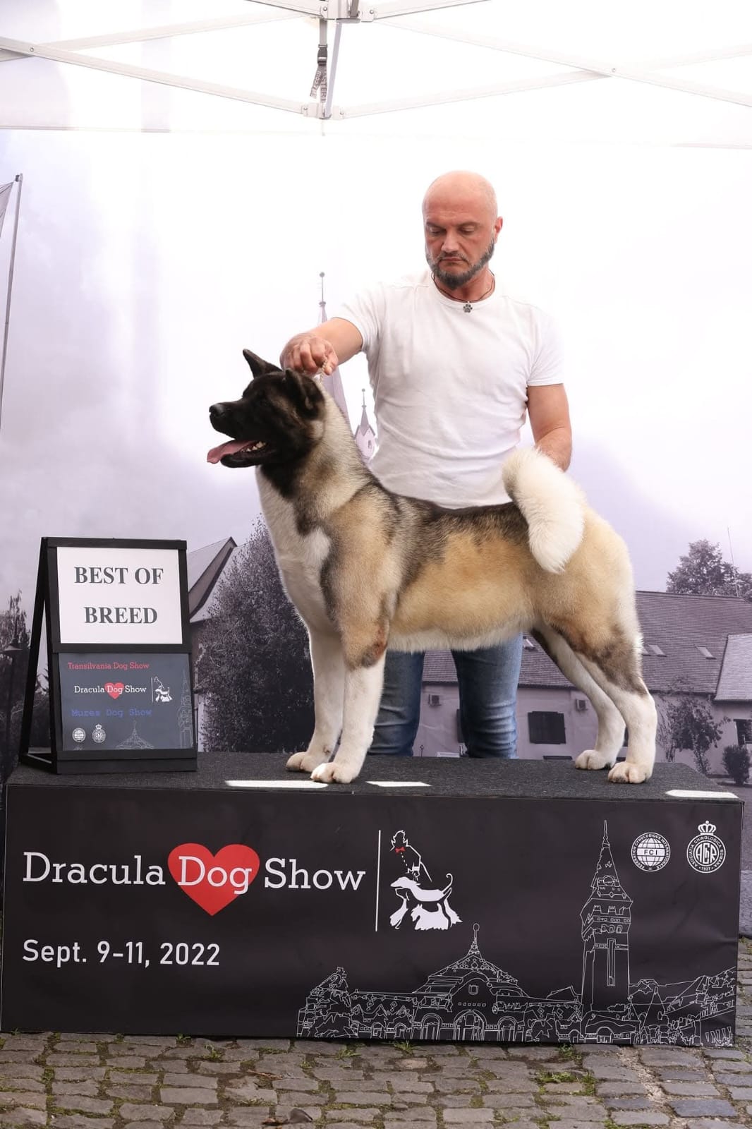 WhatsApp Image 2025-11-28 at 21.35.47