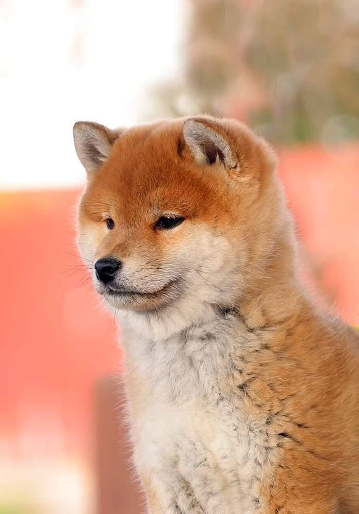 WhatsApp Image 2025-11-29 at 11.41.30