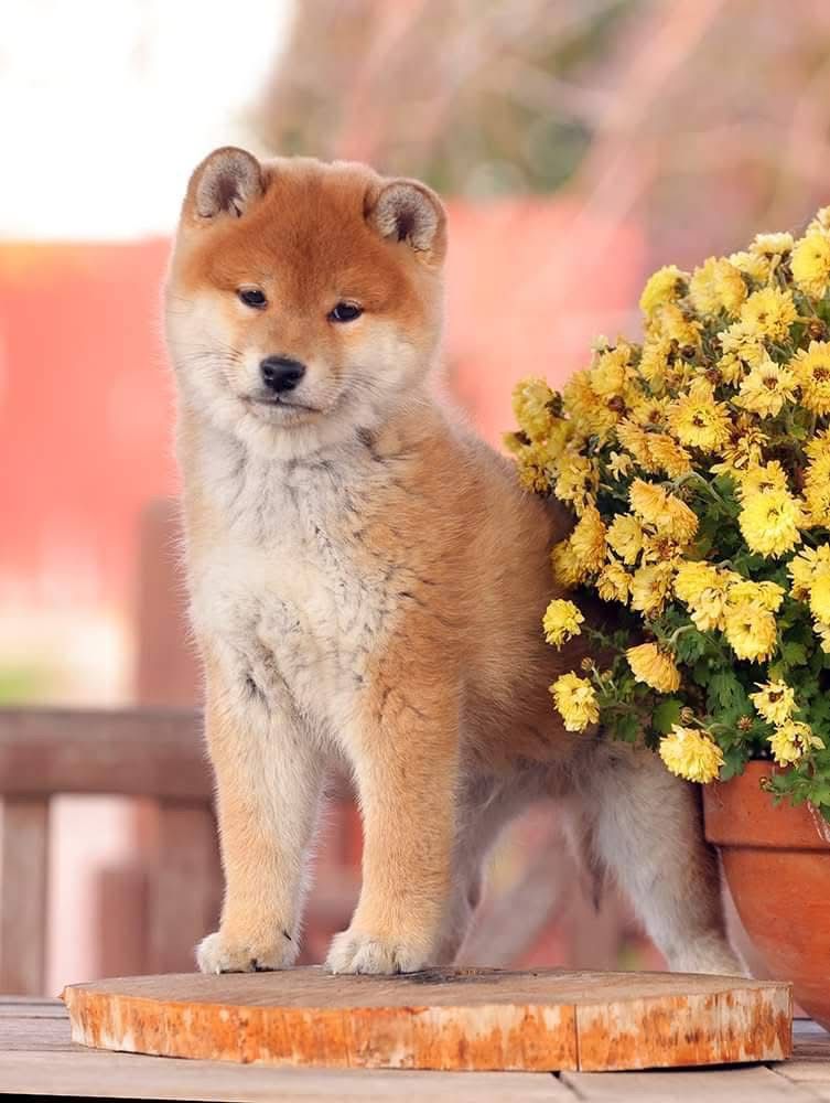 WhatsApp Image 2025-11-29 at 11.41.31