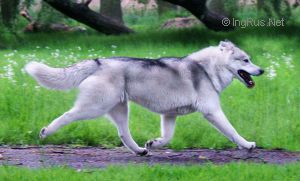 med_4fb6308424d01 (1)