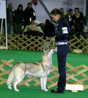 med_50c9a02582506 (1)