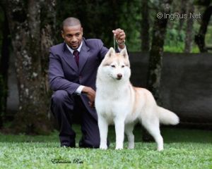 med_5227089ae429a (1)