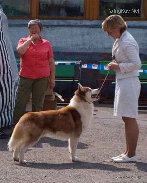 med_57c41b2314d30 (1)